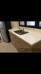 Bayshore Park (D16), Condominium #110569002